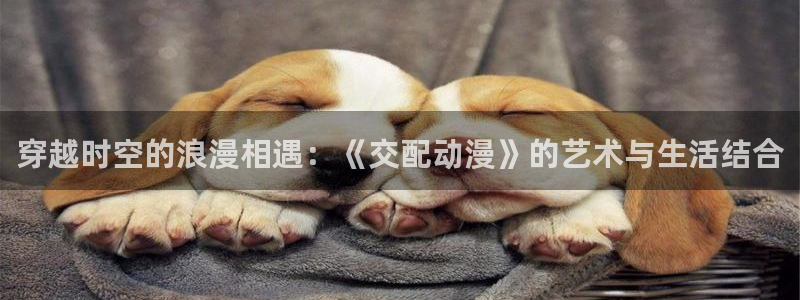 歪歪动漫漫画首页：穿越时空的浪漫相遇：《交配动漫》的艺术与生活结合